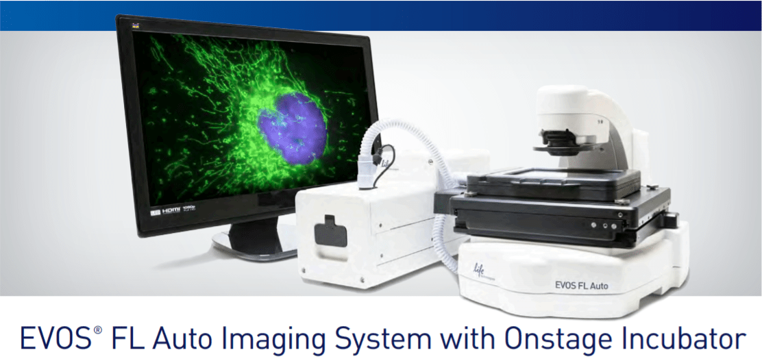 RMBF EVOS FL Auto Live Cell Imaging System Core Facilities